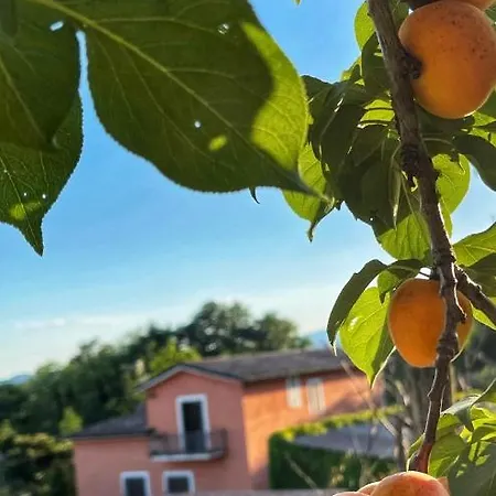 Demetra Relais Faicchio