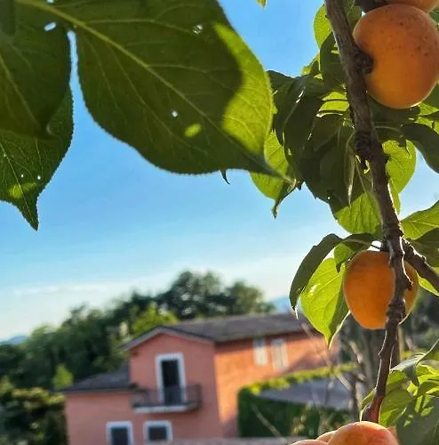 Demetra Relais Faicchio